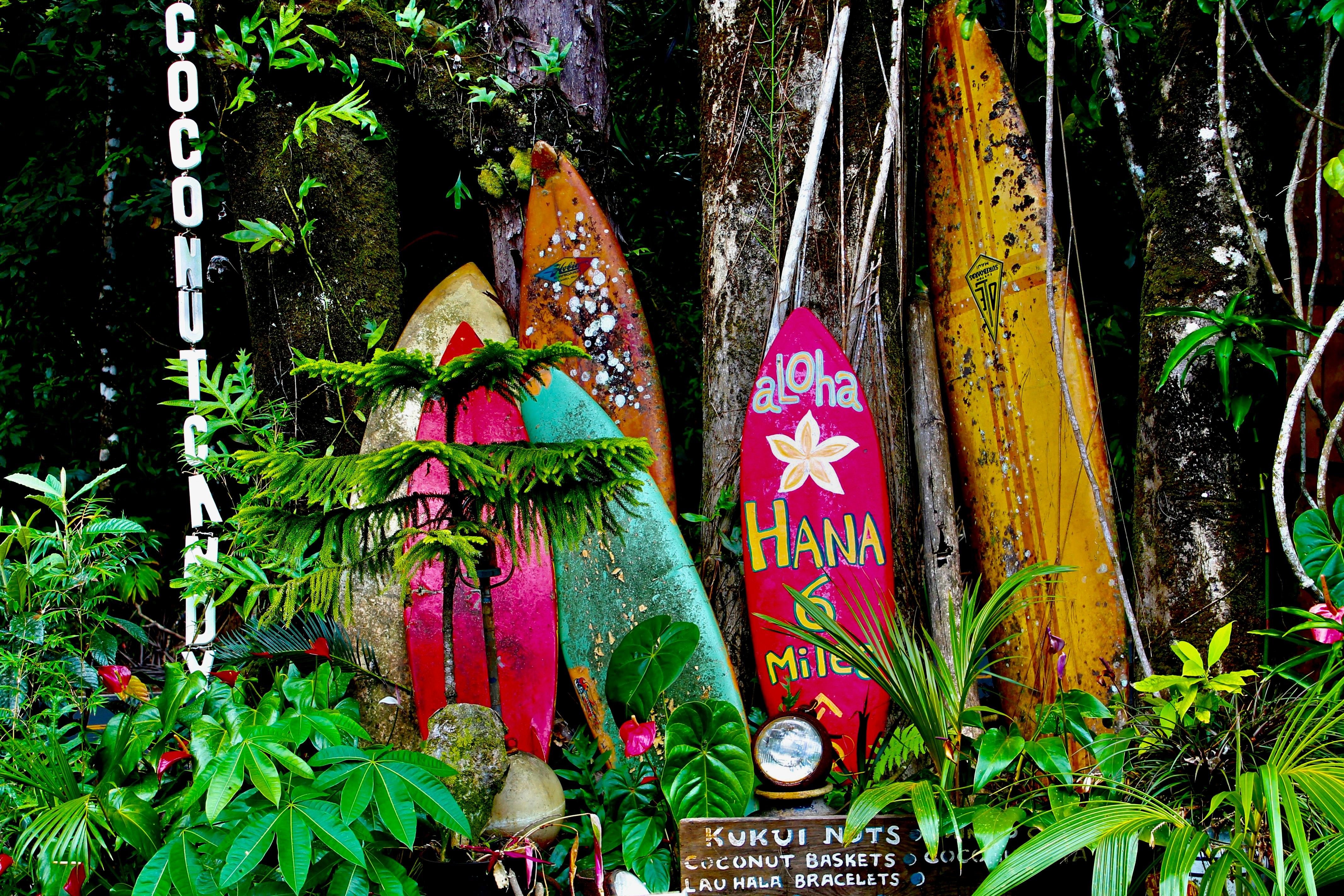 Hawaiian Landscape